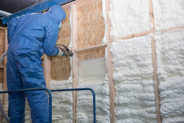 Best Blown-In Insulation  in Gainesboro, TN